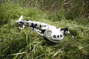 【なにこの動き！？】3Dプリンター製のサンショウウオ型ロボット！歩いて泳ぐ！