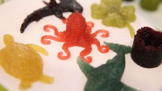 【3Dプリンターでグミ！？】5分以内で作れる！Printbotとコラボレーションしたグミショップ